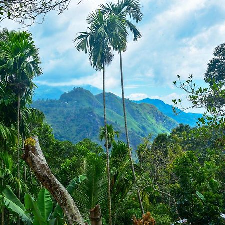 Dawn View Home Stay Ella Rum bild